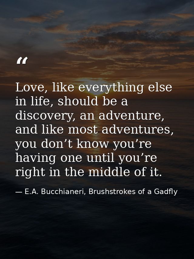 Love, like everything else in life, should be a discovery, an adventure, and like most adventures, you don’t know you’re — E.A. Bucchianeri, Brushstrokes of a Gadfly