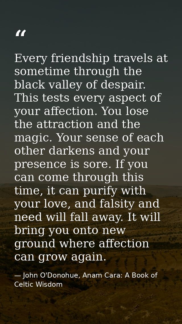 Every friendship travels at sometime through the black valley of despair. This tests every aspect of your affection. You — John O'Donohue, Anam Cara: A Book of Celtic Wisdom