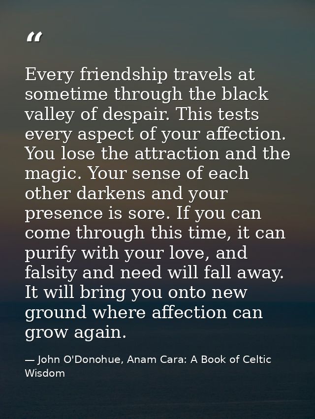Every friendship travels at sometime through the black valley of despair. This tests every aspect of your affection. You — John O'Donohue, Anam Cara: A Book of Celtic Wisdom