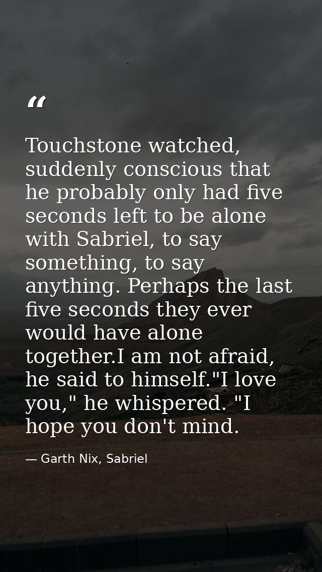 Touchstone watched, suddenly conscious that he probably only had five seconds left to be alone with Sabriel, to say some — Garth Nix, Sabriel