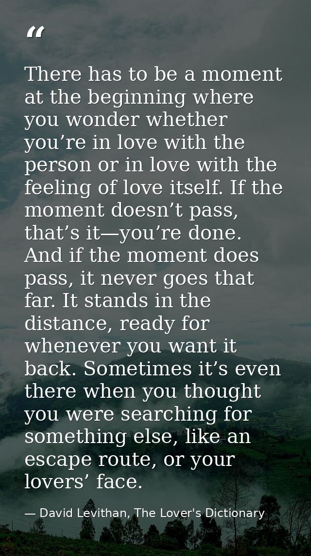 There has to be a moment at the beginning where you wonder whether you’re in love with the person or in love with the fe — David Levithan, The Lover's Dictionary
