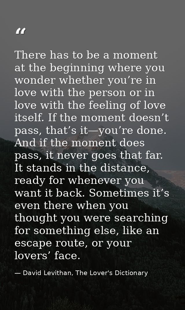 There has to be a moment at the beginning where you wonder whether you’re in love with the person or in love with the fe — David Levithan, The Lover's Dictionary