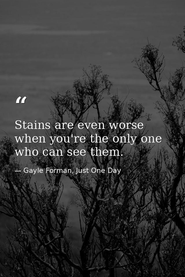 Stains are even worse when you're the only one who can see them. — Gayle Forman, Just One Day