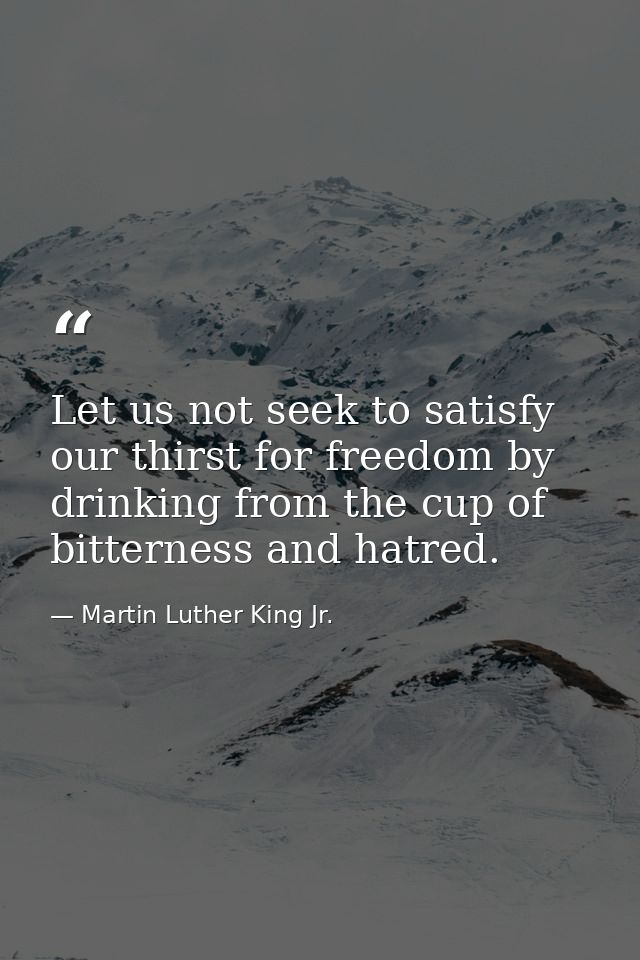 Let us not seek to satisfy our thirst for freedom by drinking from the cup of bitterness and hatred. — Martin Luther King Jr.