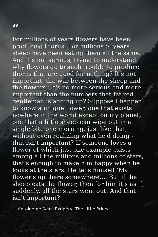 For millions of years flowers have been producing thorns. For millions of years sheep have been eating them all the same — Antoine de Saint-Exupéry, The Little Prince