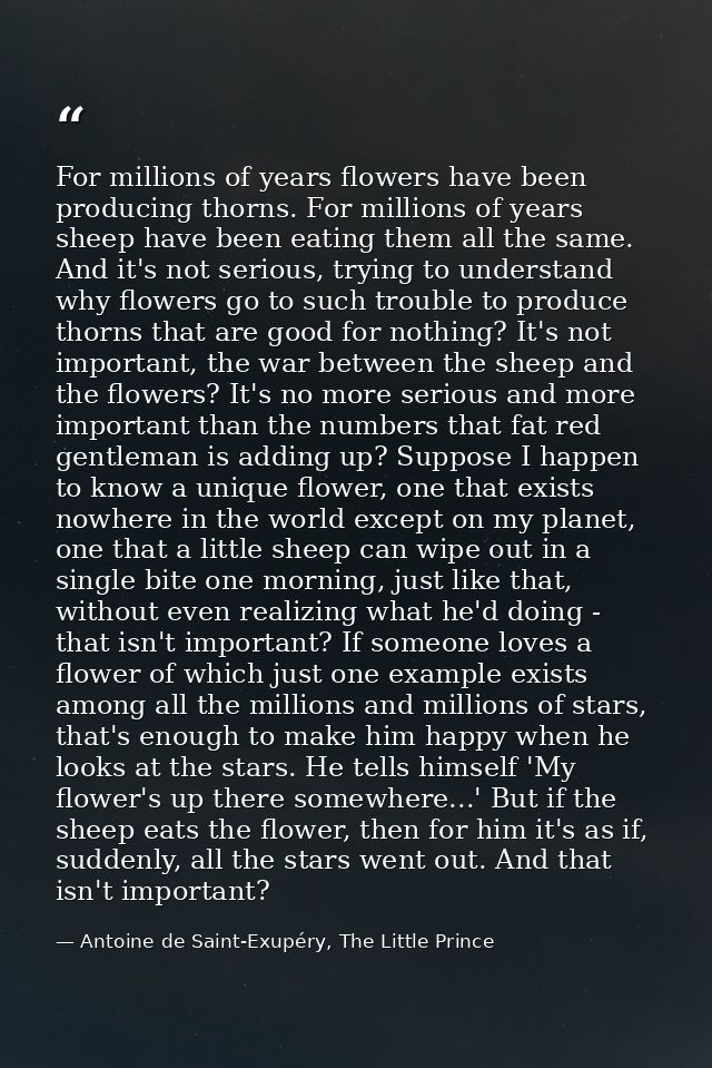 For millions of years flowers have been producing thorns. For millions of years sheep have been eating them all the same — Antoine de Saint-Exupéry, The Little Prince