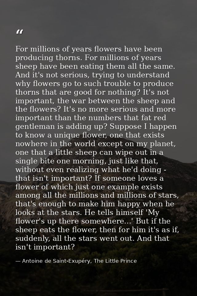 For millions of years flowers have been producing thorns. For millions of years sheep have been eating them all the same — Antoine de Saint-Exupéry, The Little Prince