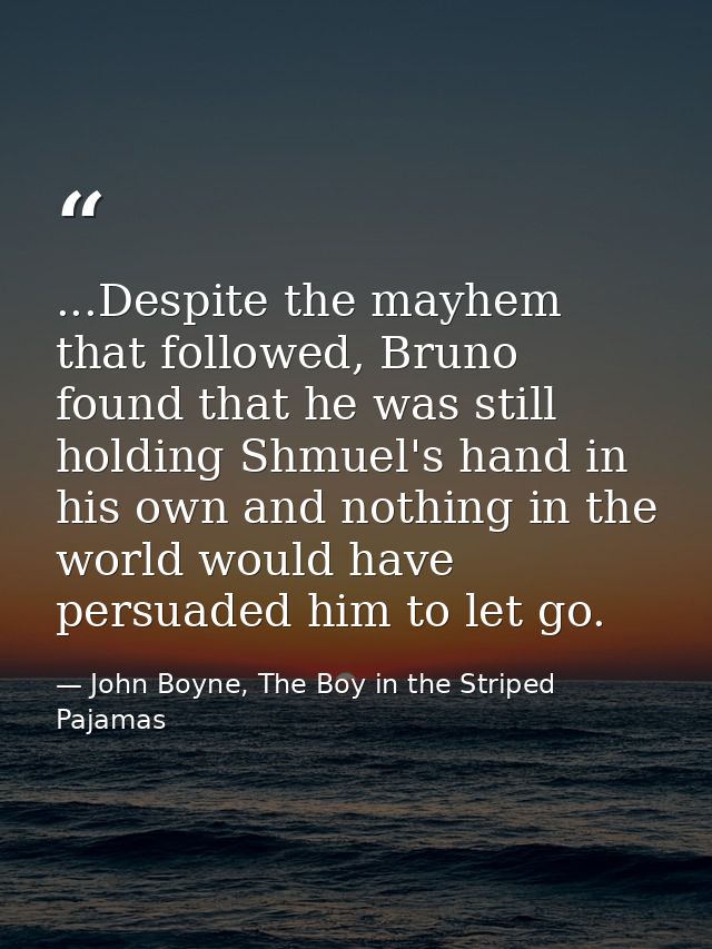 ...Despite the mayhem that followed, Bruno found that he was still holding Shmuel's hand in his own and nothing in the w — John Boyne, The Boy in the Striped Pajamas