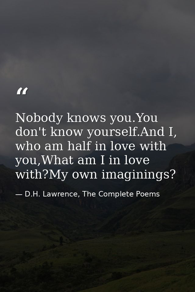 Nobody knows you.You don't know yourself.And I, who am half in love with you,What am I in love with?My own imaginings? — D.H. Lawrence, The Complete Poems