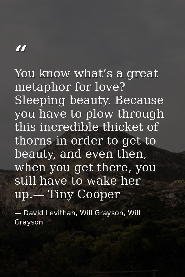 You know what’s a great metaphor for love? Sleeping beauty. Because you have to plow through this incredible thicket of  — David Levithan, Will Grayson, Will Grayson