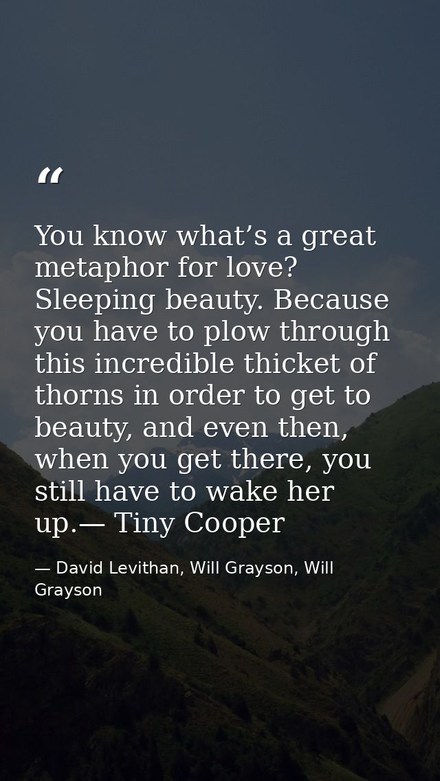 You know what’s a great metaphor for love? Sleeping beauty. Because you have to plow through this incredible thicket of  — David Levithan, Will Grayson, Will Grayson