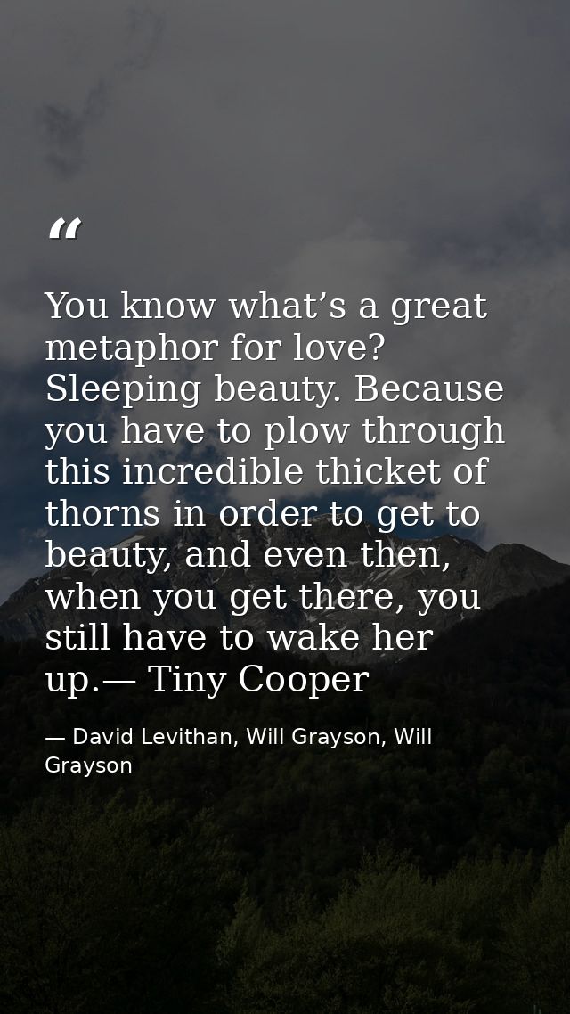 You know what’s a great metaphor for love? Sleeping beauty. Because you have to plow through this incredible thicket of  — David Levithan, Will Grayson, Will Grayson