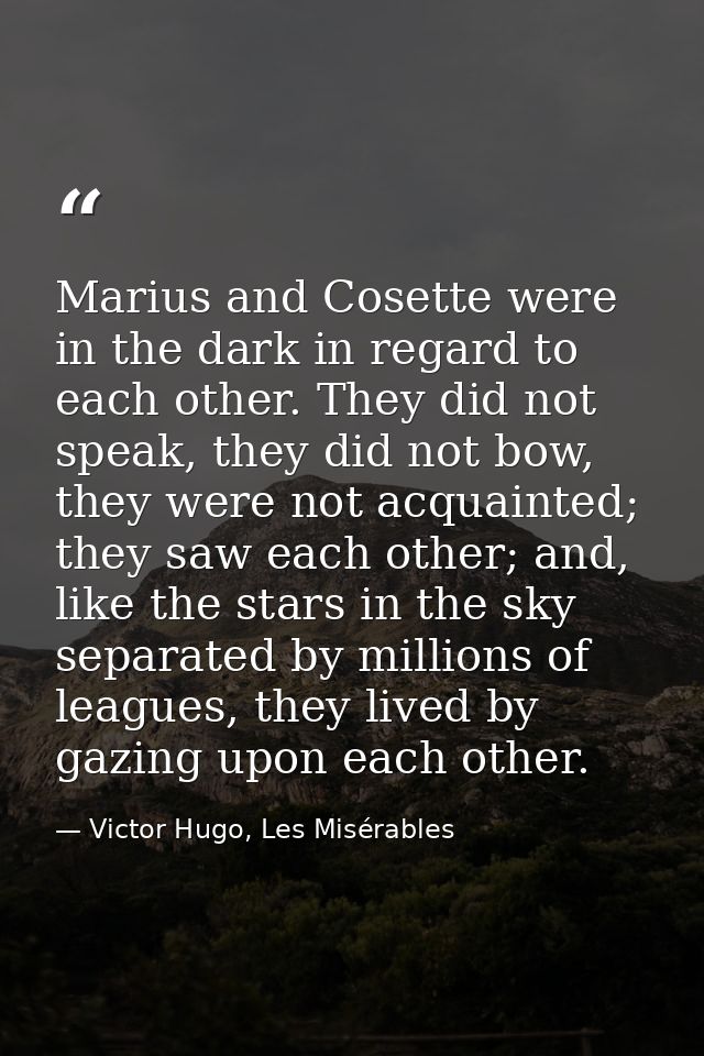 Marius and Cosette were in the dark in regard to each other. They did not speak, they did not bow, they were not acquain — Victor Hugo, Les Misérables