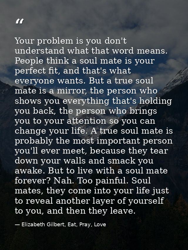 Your problem is you don't understand what that word means. People think a soul mate is your perfect fit, and that's what — Elizabeth Gilbert, Eat, Pray, Love