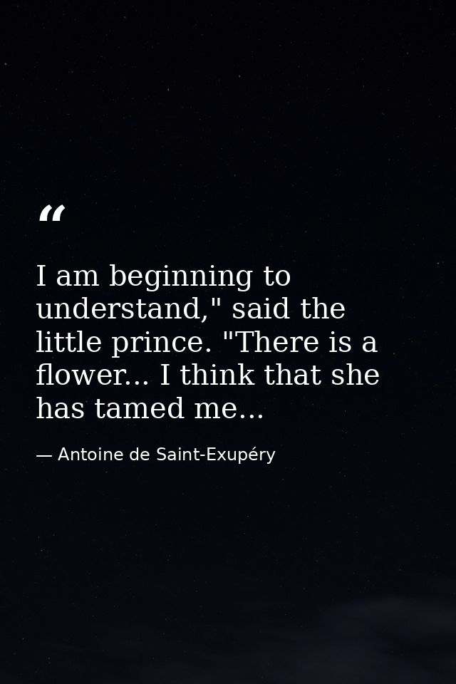 I am beginning to understand," said the little prince. "There is a flower... I think that she has tamed me... — Antoine de Saint-Exupéry