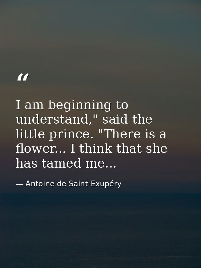 I am beginning to understand," said the little prince. "There is a flower... I think that she has tamed me... — Antoine de Saint-Exupéry
