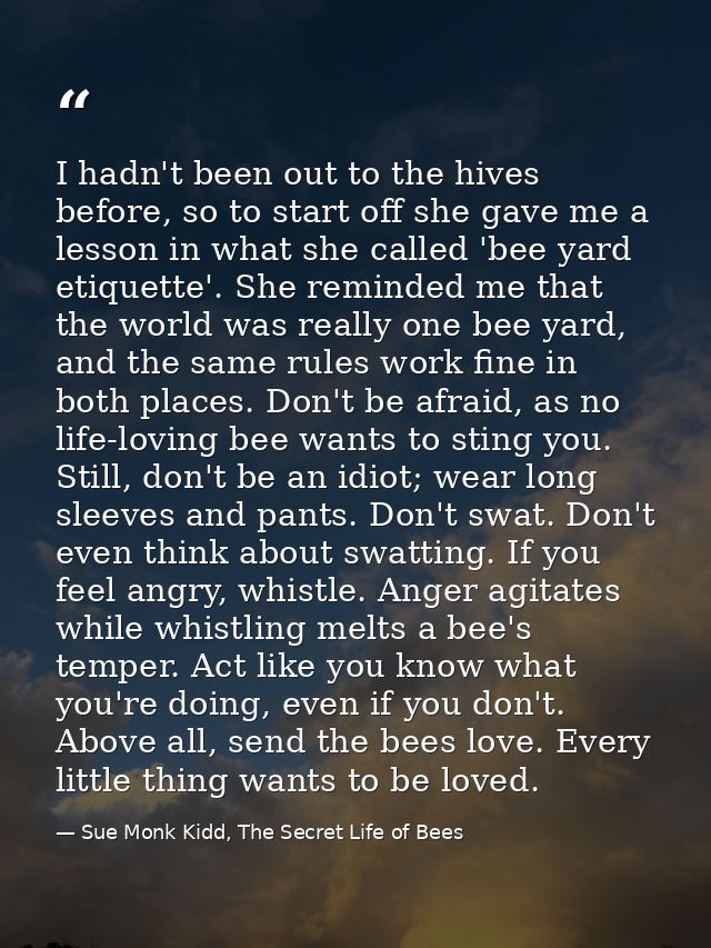 I hadn't been out to the hives before, so to start off she gave me a lesson in what she called 'bee yard etiquette'. She — Sue Monk Kidd, The Secret Life of Bees
