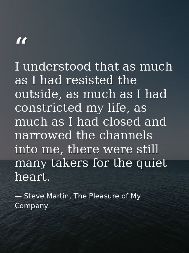 I understood that as much as I had resisted the outside, as much as I had constricted my life, as much as I had closed a — Steve Martin, The Pleasure of My Company