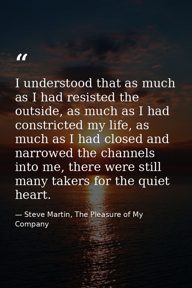 I understood that as much as I had resisted the outside, as much as I had constricted my life, as much as I had closed a — Steve Martin, The Pleasure of My Company