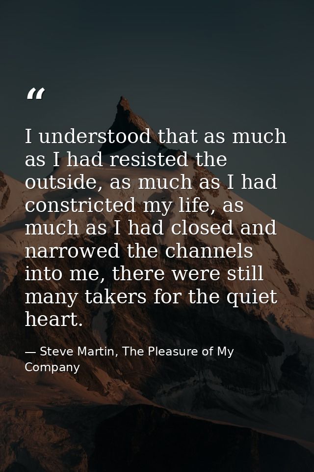 I understood that as much as I had resisted the outside, as much as I had constricted my life, as much as I had closed a — Steve Martin, The Pleasure of My Company