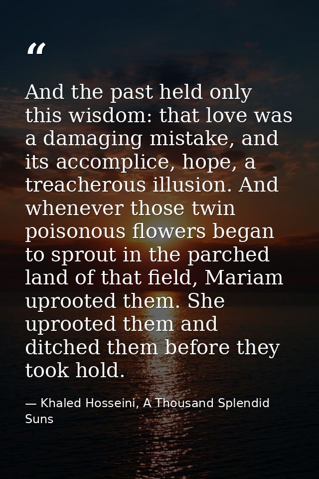 And the past held only this wisdom: that love was a damaging mistake, and its accomplice, hope, a treacherous illusion.  — Khaled Hosseini, A Thousand Splendid Suns