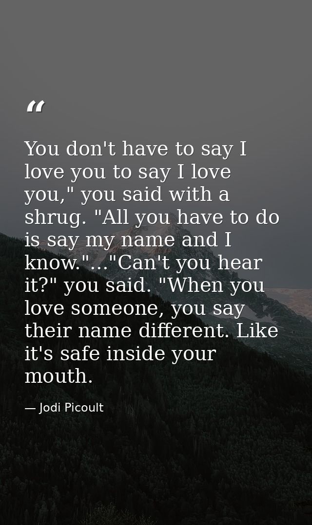 You don't have to say I love you to say I love you," you said with a shrug. "All you have to do is say my name and I kno — Jodi Picoult