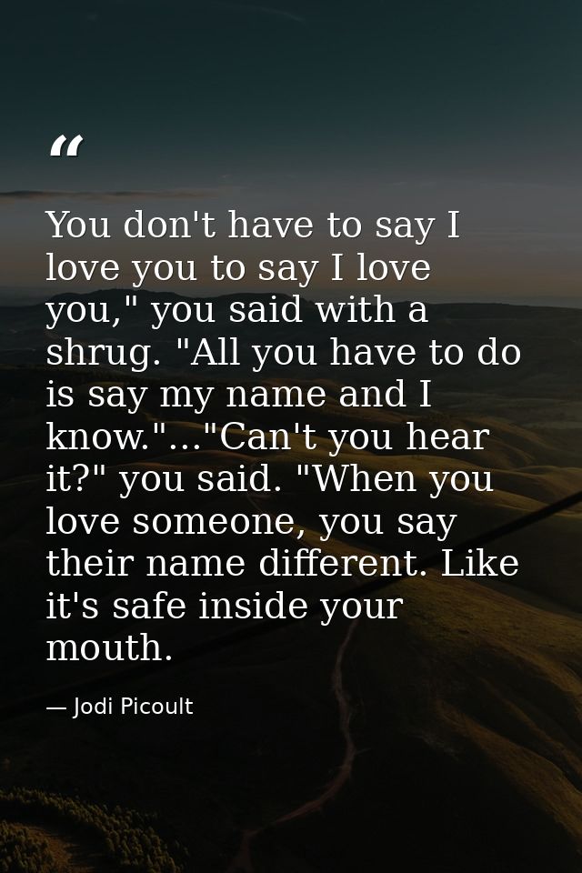 You don't have to say I love you to say I love you," you said with a shrug. "All you have to do is say my name and I kno — Jodi Picoult