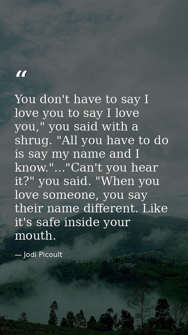 You don't have to say I love you to say I love you," you said with a shrug. "All you have to do is say my name and I kno — Jodi Picoult