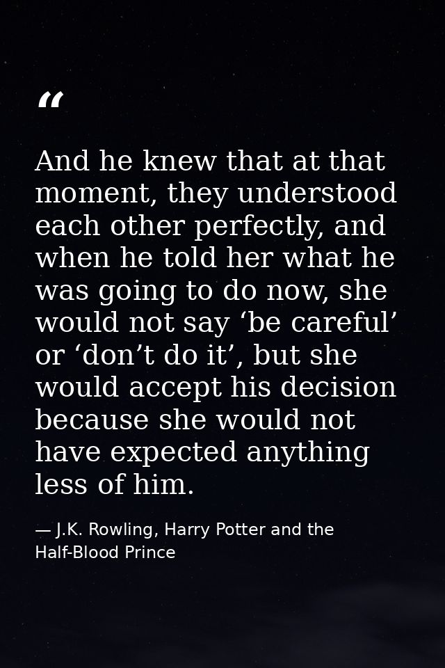 And he knew that at that moment, they understood each other perfectly, and when he told her what he was going to do now, — J.K. Rowling, Harry Potter and the Half-Blood Prince