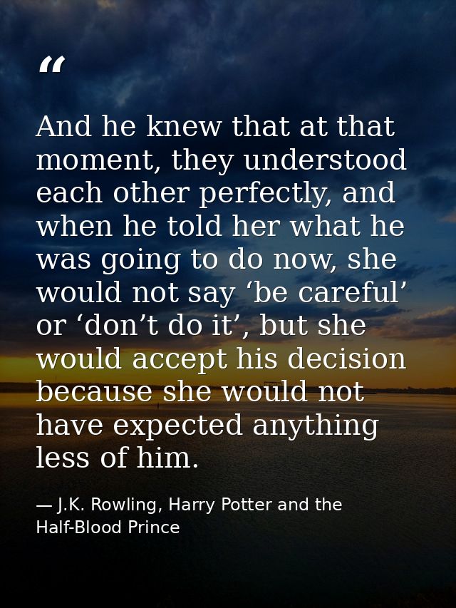 And he knew that at that moment, they understood each other perfectly, and when he told her what he was going to do now, — J.K. Rowling, Harry Potter and the Half-Blood Prince