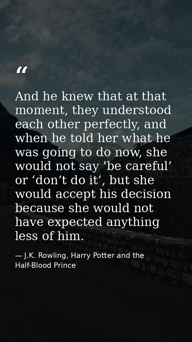 And he knew that at that moment, they understood each other perfectly, and when he told her what he was going to do now, — J.K. Rowling, Harry Potter and the Half-Blood Prince