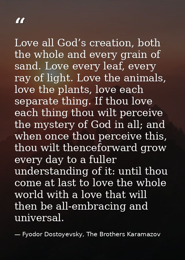 Love all God’s creation, both the whole and every grain of sand. Love every leaf, every ray of light. Love the animals,  — Fyodor Dostoyevsky, The Brothers Karamazov