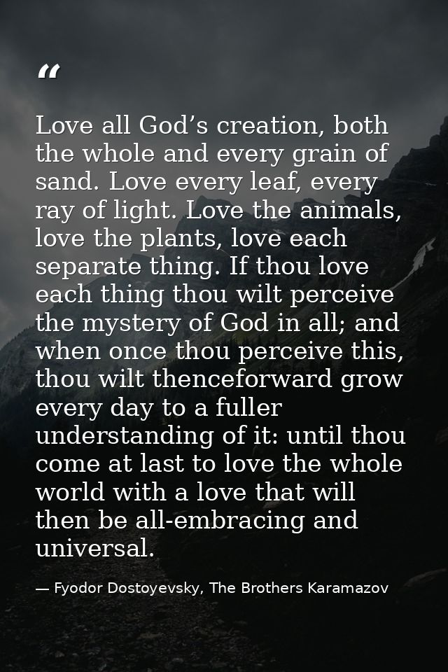 Love all God’s creation, both the whole and every grain of sand. Love every leaf, every ray of light. Love the animals,  — Fyodor Dostoyevsky, The Brothers Karamazov