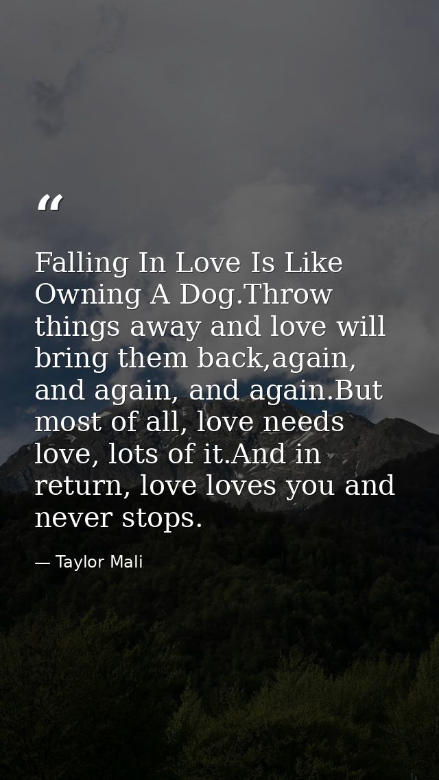 Falling In Love Is Like Owning A Dog.Throw things away and love will bring them back,again, and again, and again.But mos — Taylor Mali
