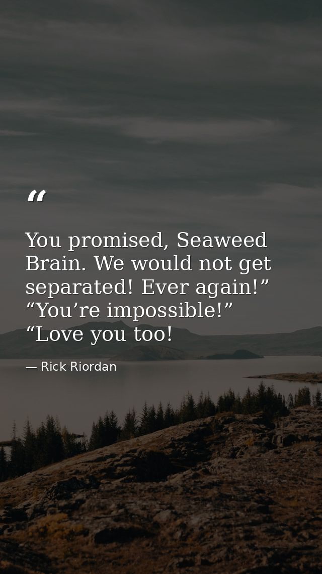You promised, Seaweed Brain. We would not get separated! Ever again!” “You’re impossible!” “Love you too! — Rick Riordan