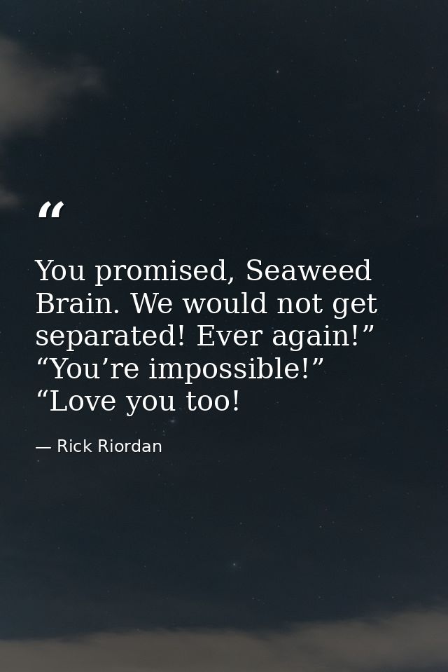 You promised, Seaweed Brain. We would not get separated! Ever again!” “You’re impossible!” “Love you too! — Rick Riordan