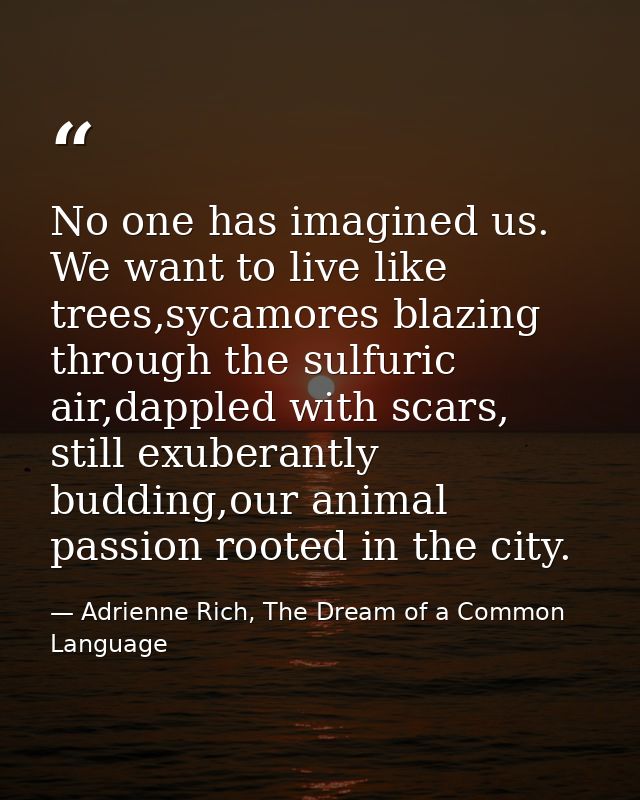 No one has imagined us. We want to live like trees,sycamores blazing through the sulfuric air,dappled with scars, still  — Adrienne Rich, The Dream of a Common Language