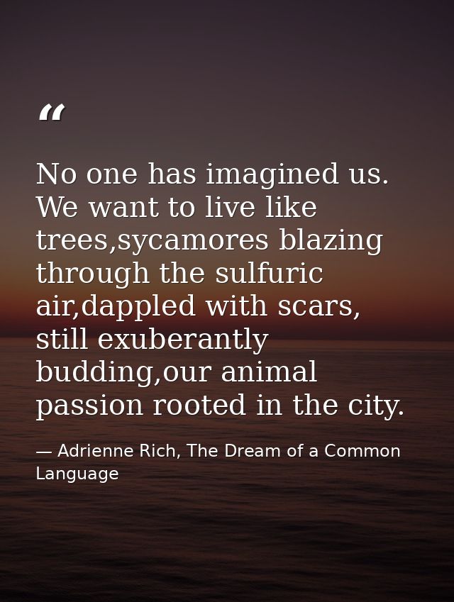 No one has imagined us. We want to live like trees,sycamores blazing through the sulfuric air,dappled with scars, still  — Adrienne Rich, The Dream of a Common Language