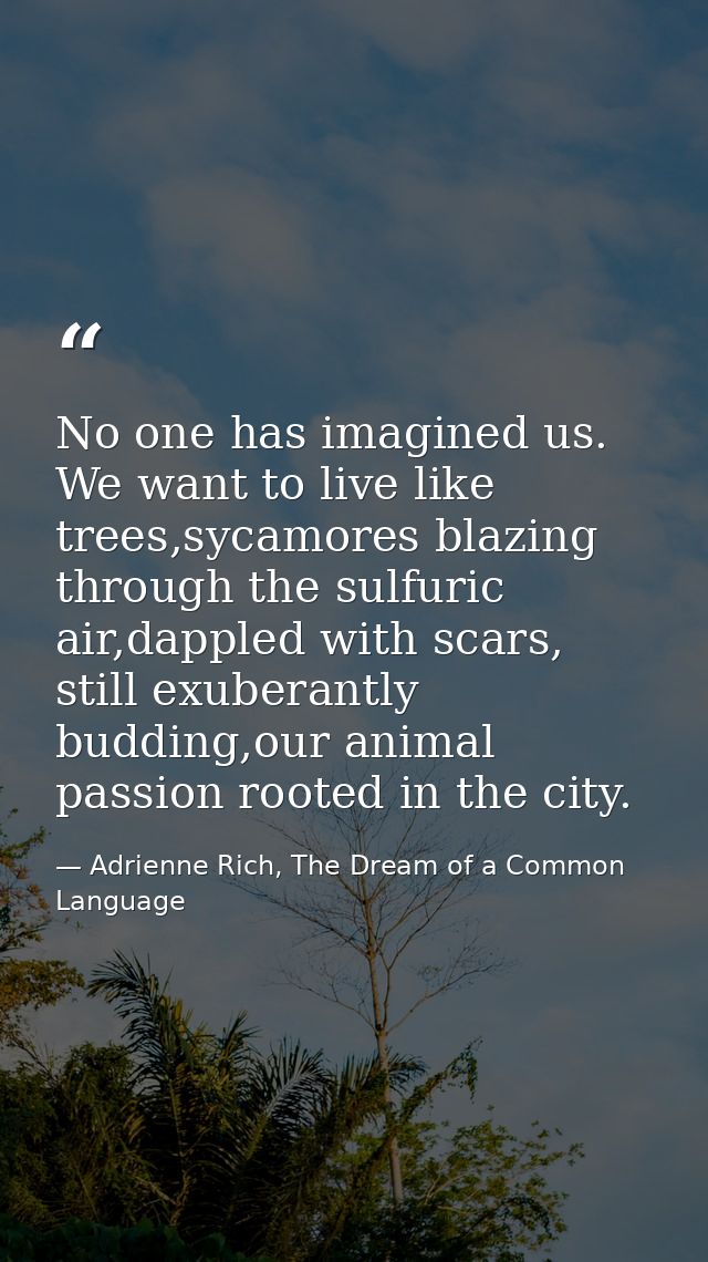 No one has imagined us. We want to live like trees,sycamores blazing through the sulfuric air,dappled with scars, still  — Adrienne Rich, The Dream of a Common Language