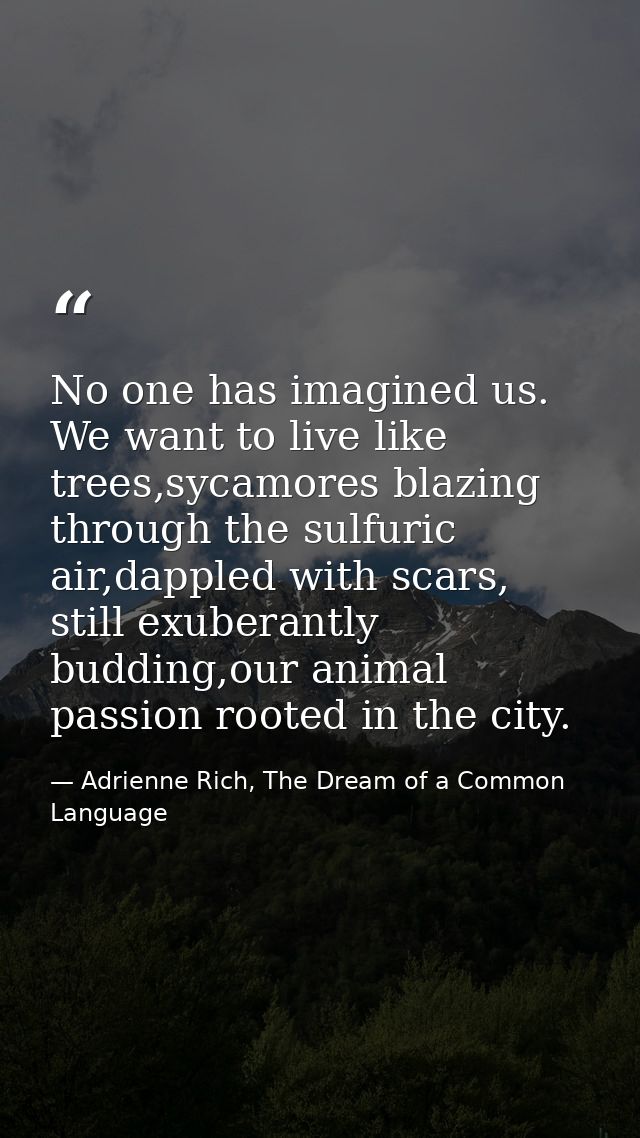 No one has imagined us. We want to live like trees,sycamores blazing through the sulfuric air,dappled with scars, still  — Adrienne Rich, The Dream of a Common Language