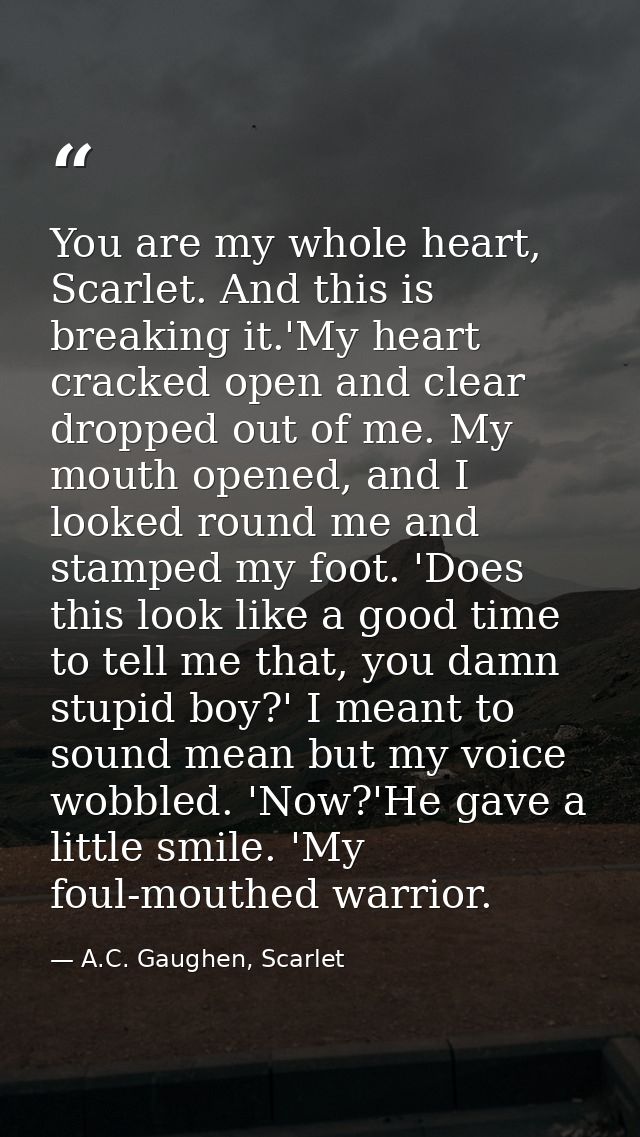 You are my whole heart, Scarlet. And this is breaking it.'My heart cracked open and clear dropped out of me. My mouth op — A.C. Gaughen, Scarlet