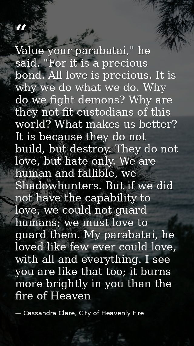 Value your parabatai," he said. "For it is a precious bond. All love is precious. It is why we do what we do. Why do we  — Cassandra Clare, City of Heavenly Fire
