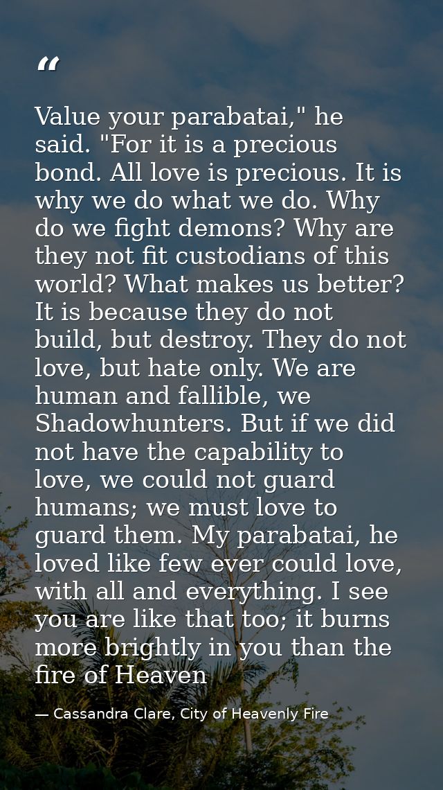 Value your parabatai," he said. "For it is a precious bond. All love is precious. It is why we do what we do. Why do we  — Cassandra Clare, City of Heavenly Fire