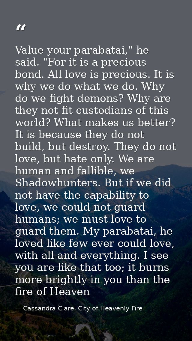 Value your parabatai," he said. "For it is a precious bond. All love is precious. It is why we do what we do. Why do we  — Cassandra Clare, City of Heavenly Fire