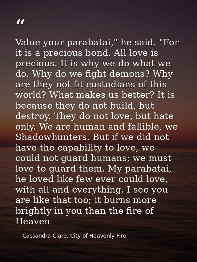 Value your parabatai," he said. "For it is a precious bond. All love is precious. It is why we do what we do. Why do we  — Cassandra Clare, City of Heavenly Fire