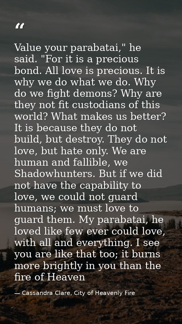 Value your parabatai," he said. "For it is a precious bond. All love is precious. It is why we do what we do. Why do we  — Cassandra Clare, City of Heavenly Fire