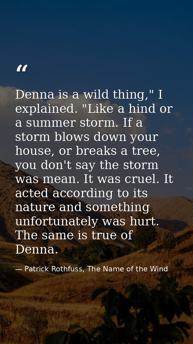 Denna is a wild thing," I explained. "Like a hind or a summer storm. If a storm blows down your house, or breaks a tree, — Patrick Rothfuss, The Name of the Wind