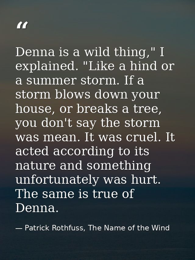 Denna is a wild thing," I explained. "Like a hind or a summer storm. If a storm blows down your house, or breaks a tree, — Patrick Rothfuss, The Name of the Wind