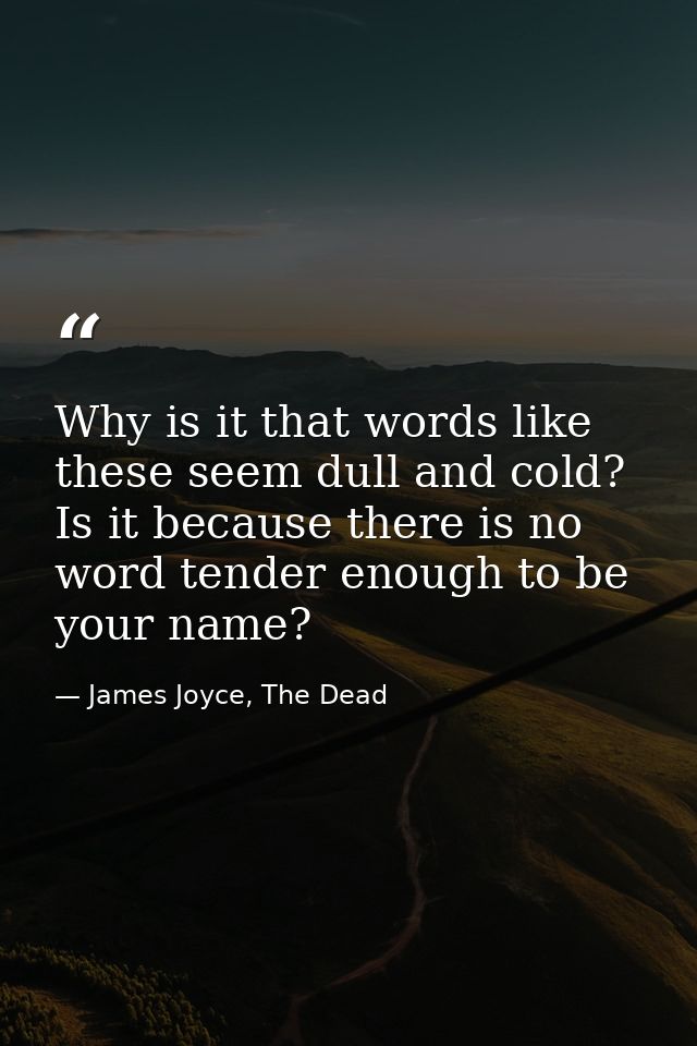 Why is it that words like these seem dull and cold? Is it because there is no word tender enough to be your name? — James Joyce, The Dead