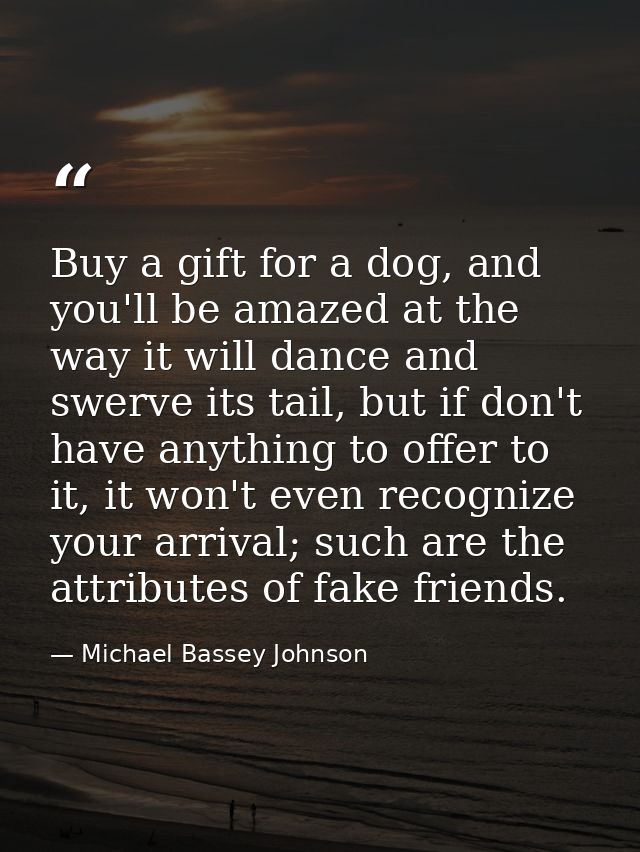 Buy a gift for a dog, and you'll be amazed at the way it will dance and swerve its tail, but if don't have anything to o — Michael Bassey Johnson